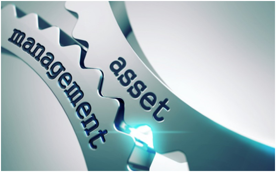 What is Asset Management? | Solution Provider in the world